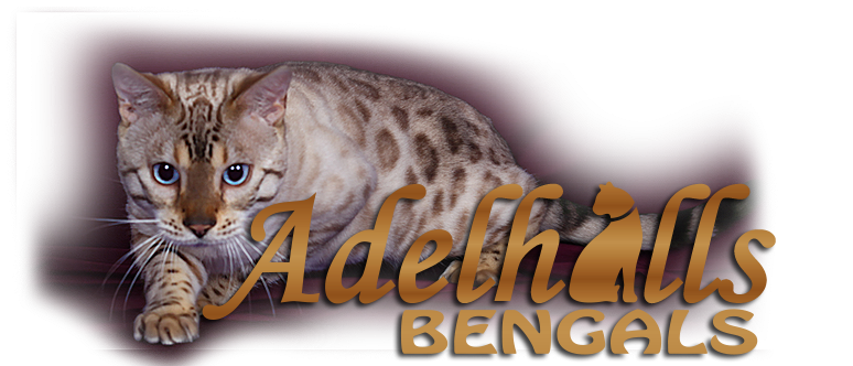 Adelhills Bengal Cats
